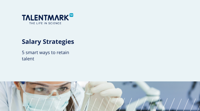 Salary Strategies En (1)