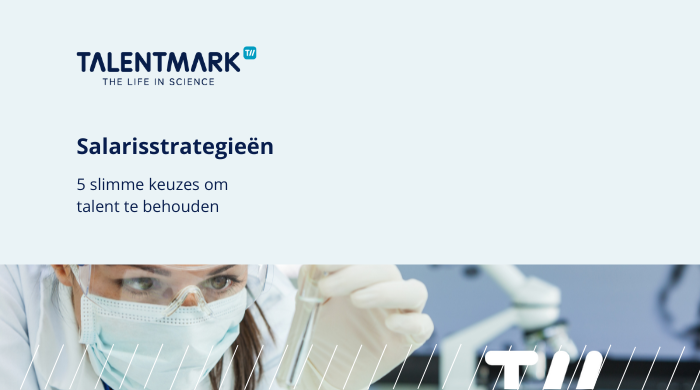 Salarisstrategieen